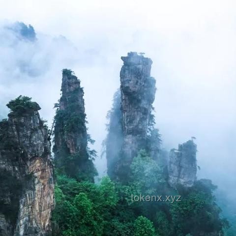 张家界暴雨洪水灾害下的旅游业应对策略与行业洞察