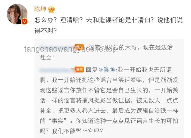 陈坤发文背后的家庭教育与社会影响深度剖析：代际成长与公众形象塑造